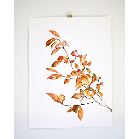 Watercolor of Autumn Leaves on Paper