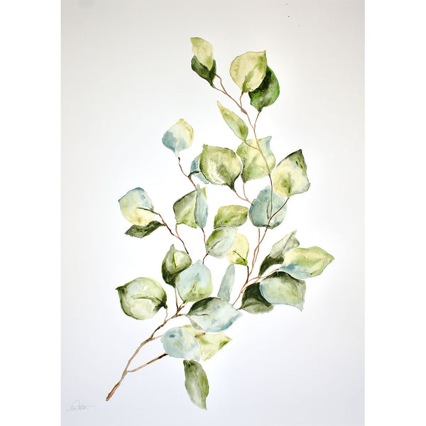 "Eucalyptus Leaves" no. 3 - Watercolour Fine Art Print