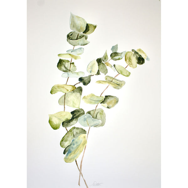"Eucalyptus Leaves" no. 2 - Watercolour Fine Art Print