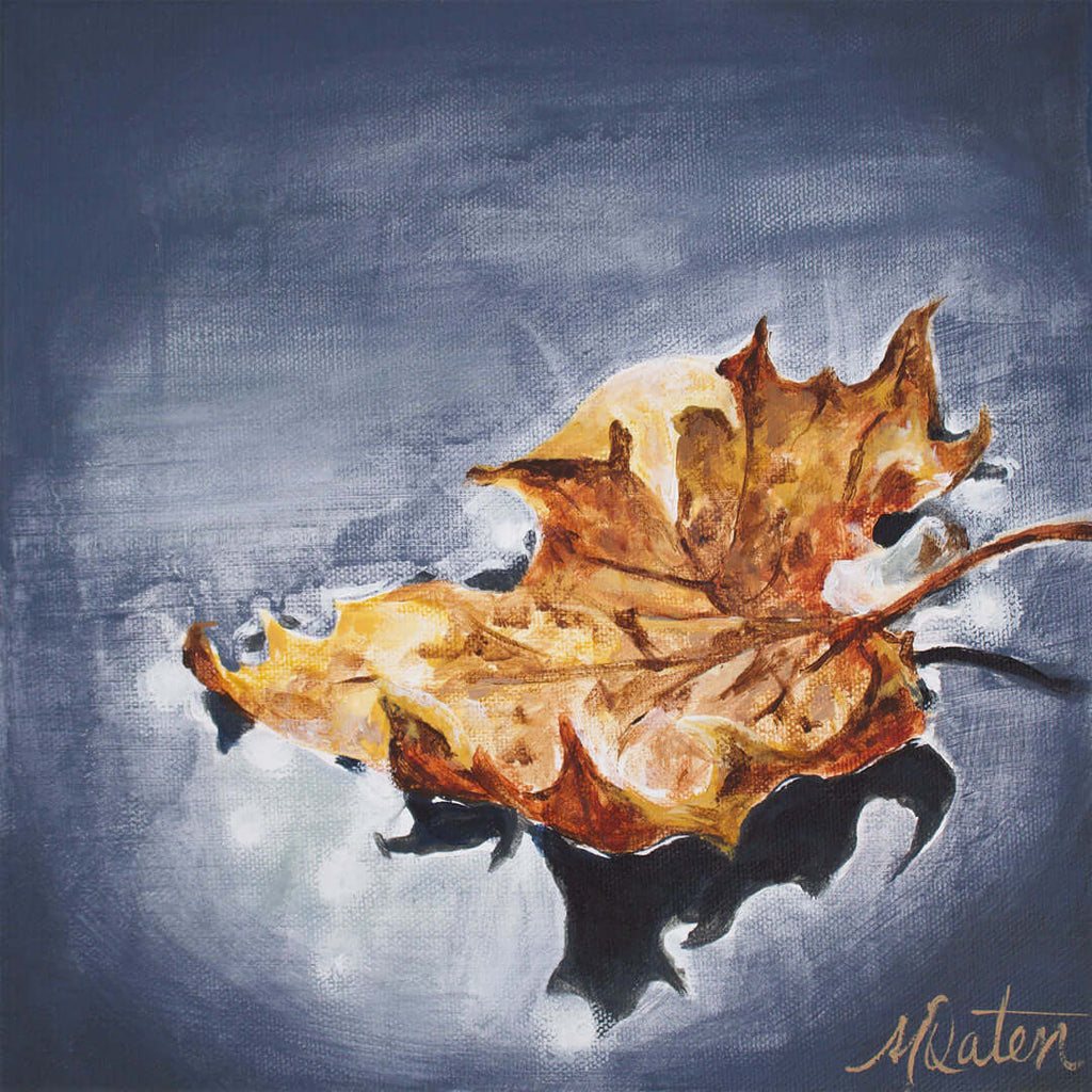 

Rest on the Waters by Mindi Oaten, showing a brown and golden maple leaf floating on dark water.