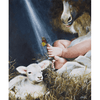
Immanuel from the Behold Him collection by Mindi Oaten