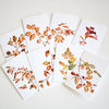 "Autumn Leaves" Assorted Note Cards - Set of 8 by Mindi Oaten – Christian Prophetic Acrylic Painting featuring , inspired by Scripture and spiritual themes.
