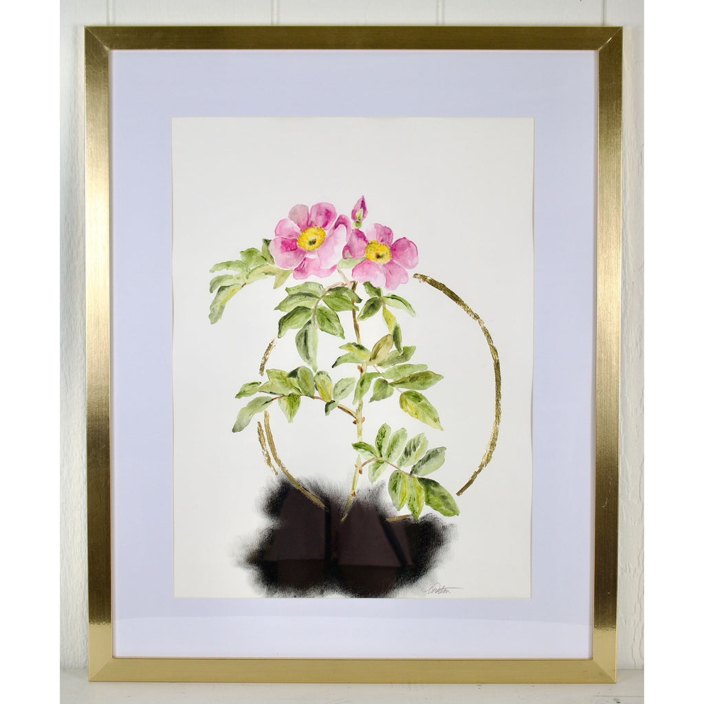 Framed botanical illustration of a plant with pink flowers on a white background