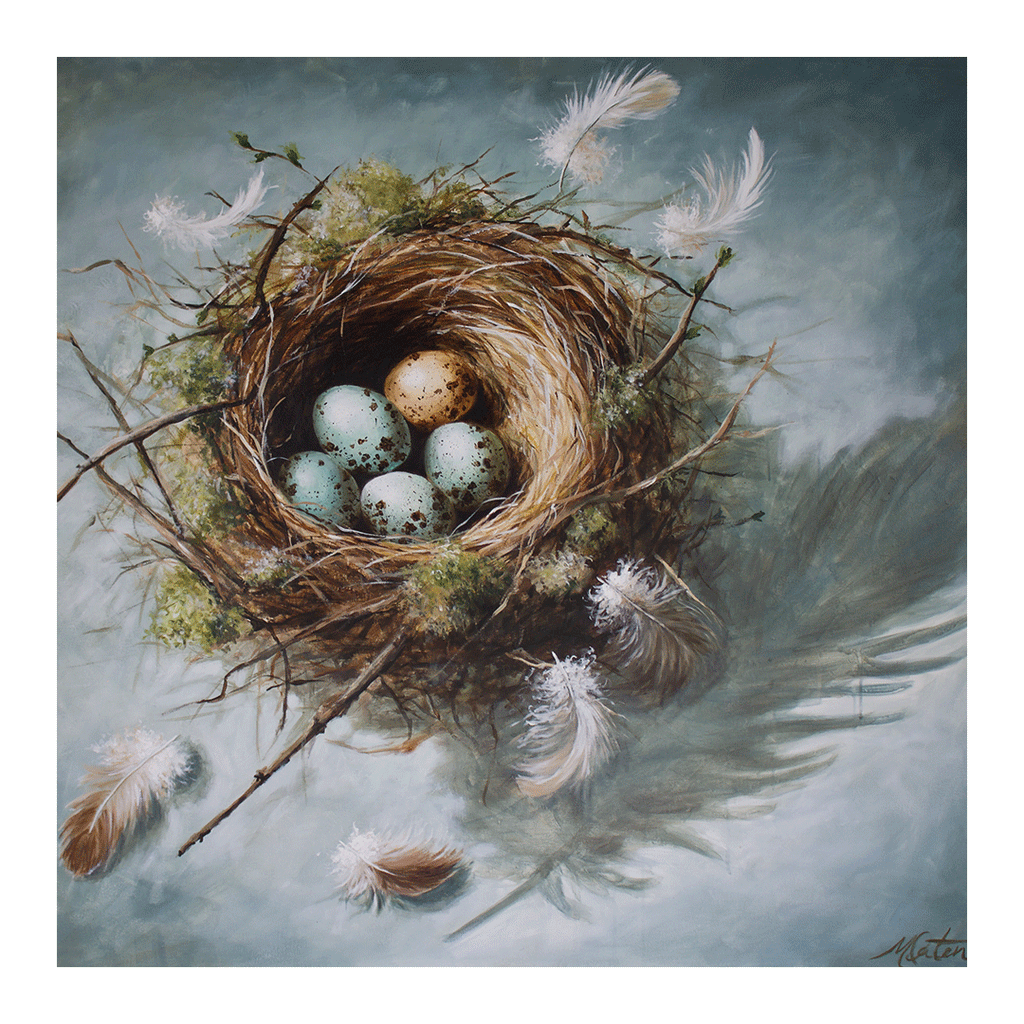 

Dwelling Place by Mindi Oaten, showing a bird’s nest containing eggs surrounded by floating feathers.