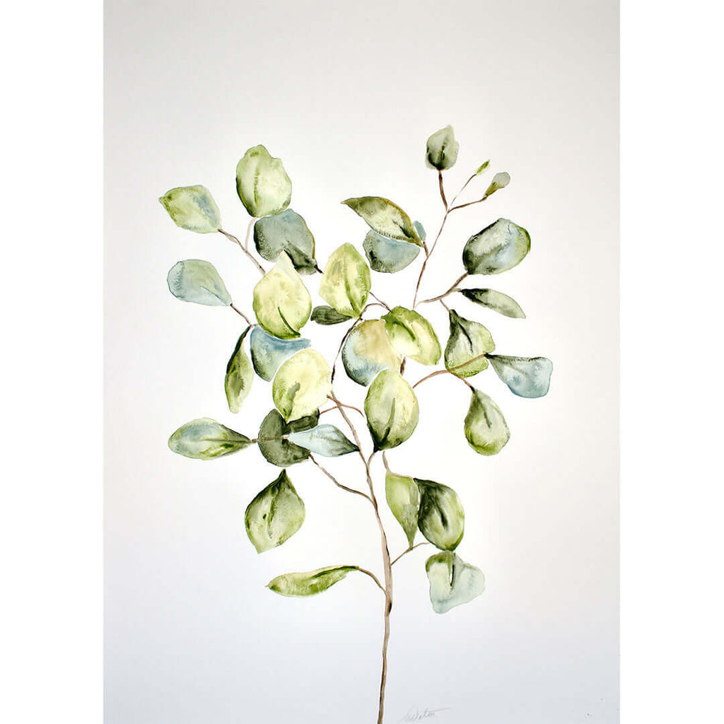 

Eucalyptus Leaves no. 1 by Mindi Oaten, showing a curved eucalyptus branch with rounded green leaves on white.