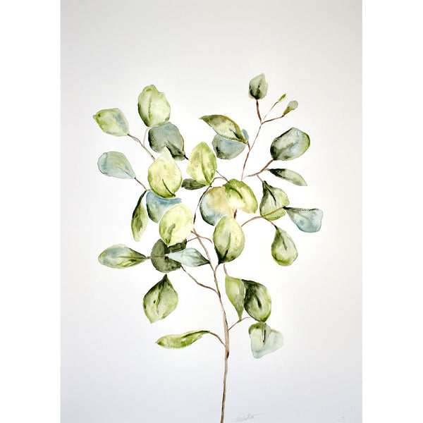 "Eucalyptus Leaves" no. 1 - Watercolour Fine Art Print