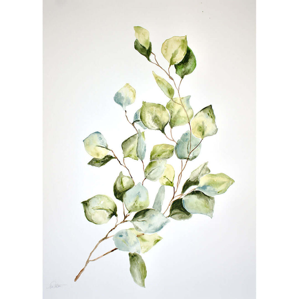 "Eucalyptus Leaves" no. 3 - Watercolour Fine Art Print by Mindi Oaten