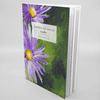 "Garden of Grace" Notes - Asters | blank journal by Mindi Oaten