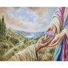 
Into Open Hands from the Restore collection by Mindi Oaten