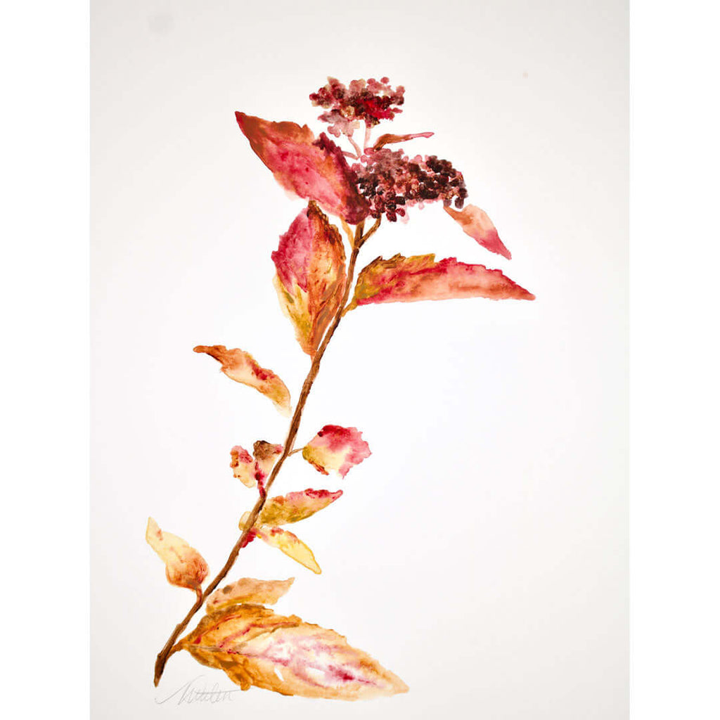 "Autumn Petite Leaves" no. 3 - Watercolour Fine Art Print by Mindi Oaten