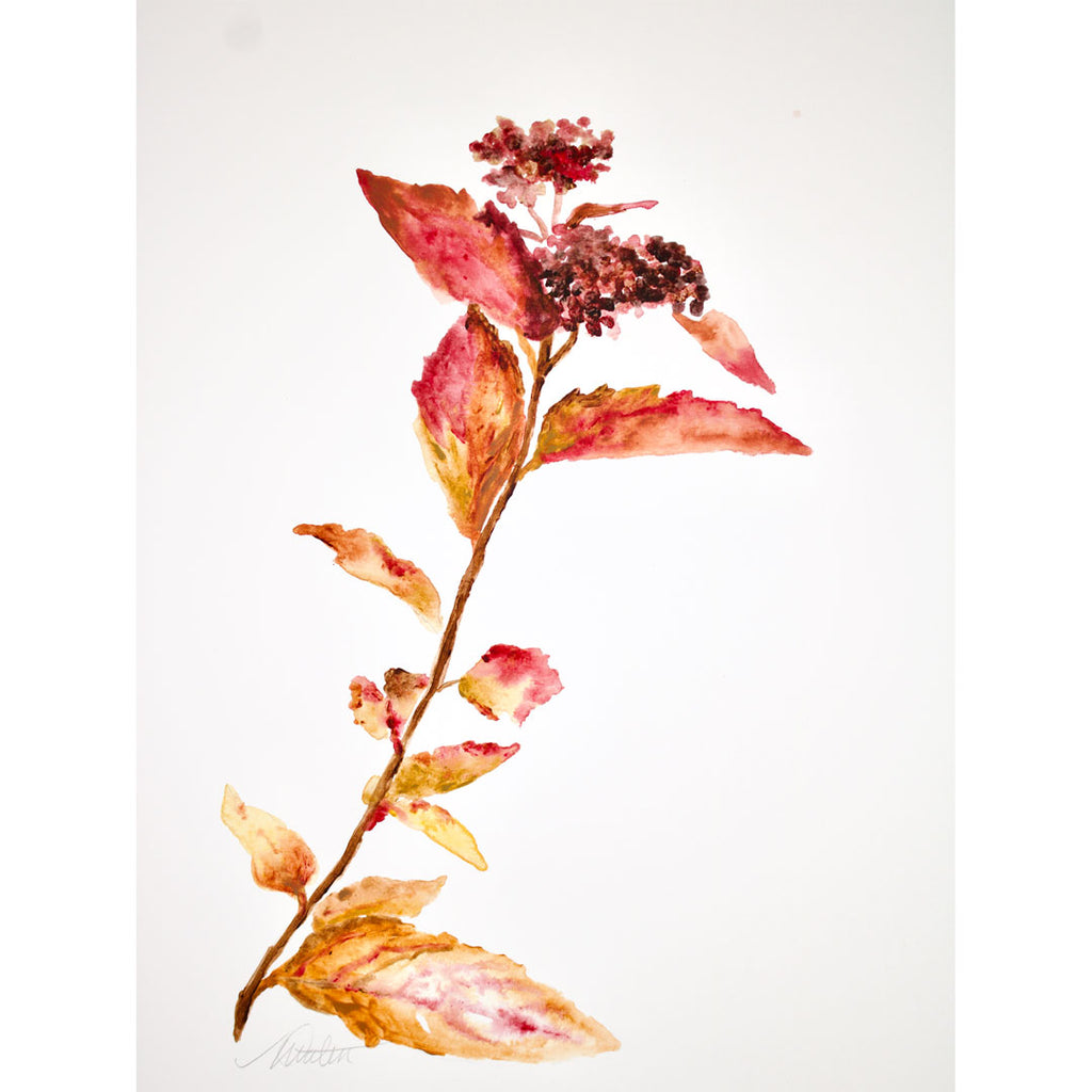 "Autumn Petite Leaves" no. 3 - Watercolour Fine Art Print
