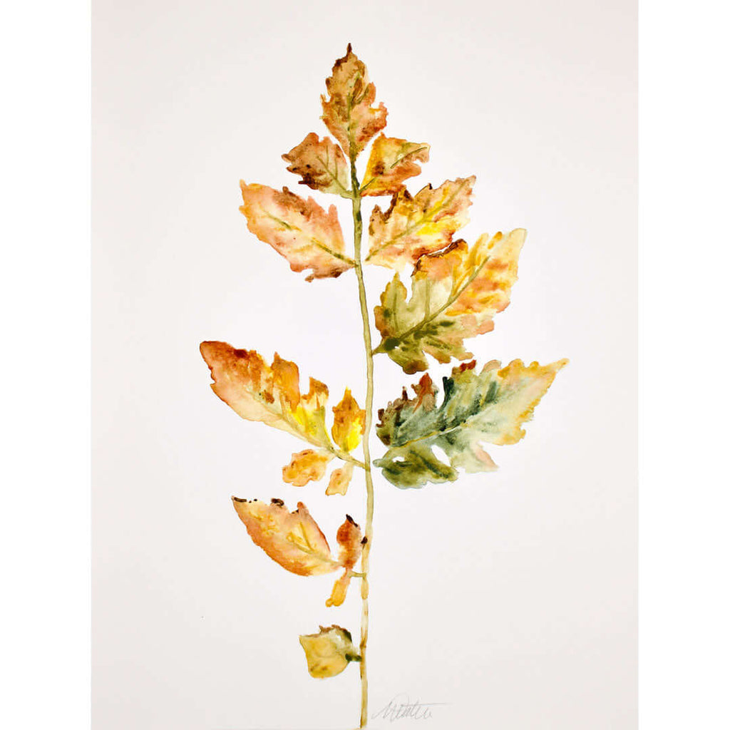 "Autumn Petite Leaves" no. 2 - Watercolour Fine Art Print by Mindi Oaten