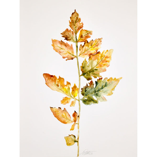 "Autumn Petite Leaves" no. 2 - Watercolour Fine Art Print