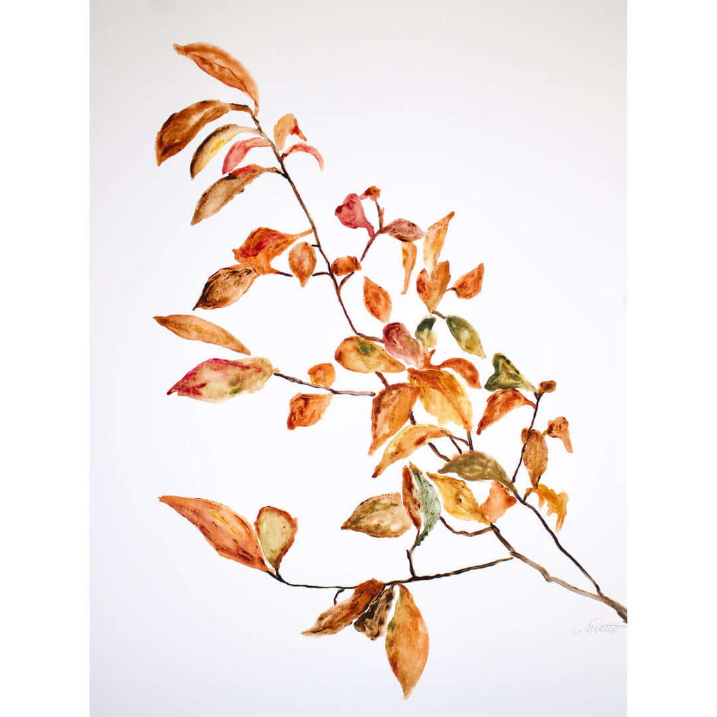 "Autumn Leaves" no. 1 - Watercolour Fine Art Print by Mindi Oaten