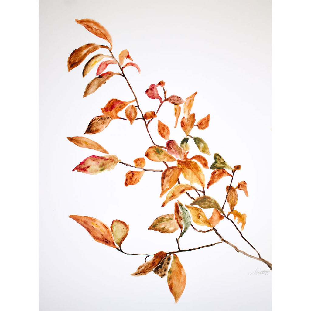 "Autumn Leaves" no. 1 - Watercolour Fine Art Print