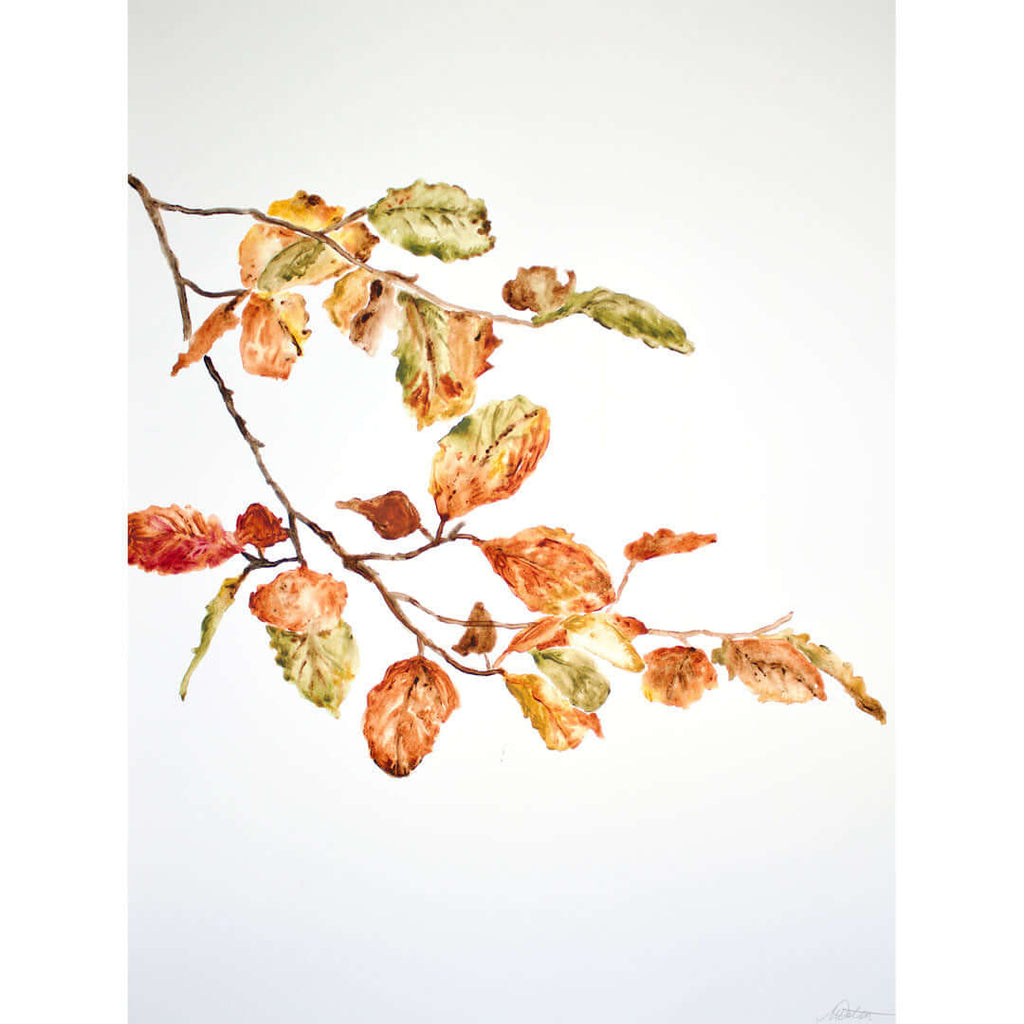 "Autumn Leaves" no. 3 - Watercolour Fine Art Print by Mindi Oaten