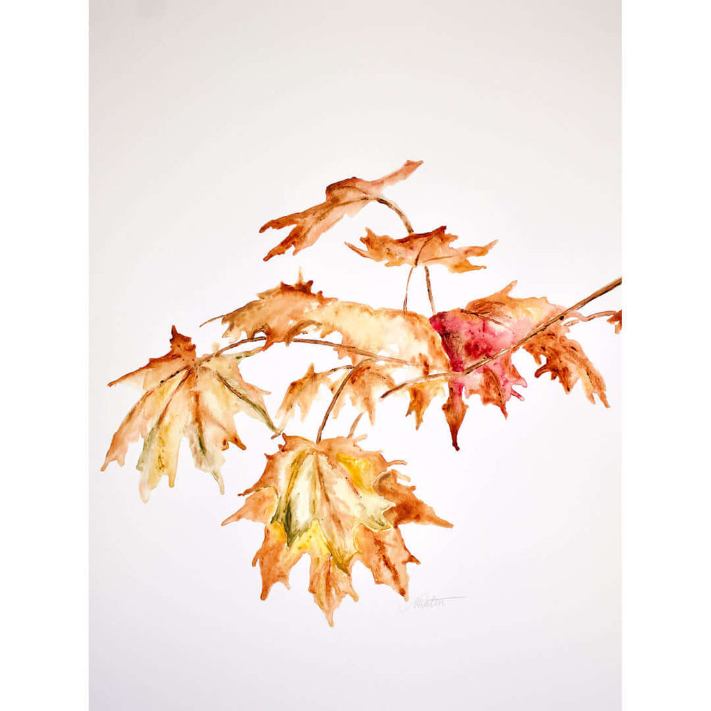"Autumn Leaves" no. 2 - Watercolour Fine Art Print by Mindi Oaten