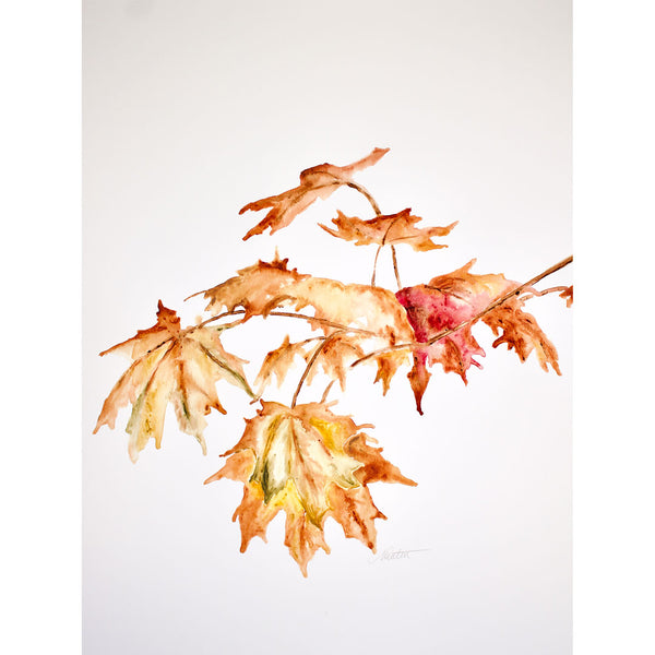 "Autumn Leaves" no. 2 - 18 x 24 inches watercolour on paper