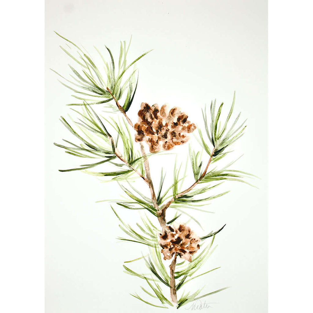 "Pine Branch" no. 2 - Watercolour Fine Art Print by Mindi Oaten