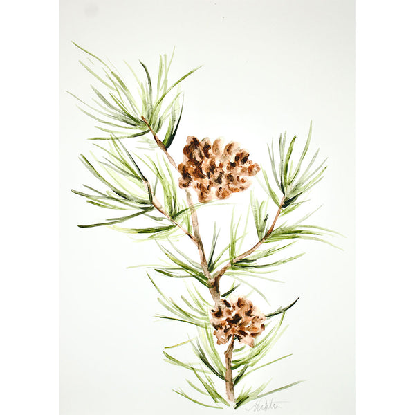"Pine Branch" no. 2 - Watercolour Fine Art Print