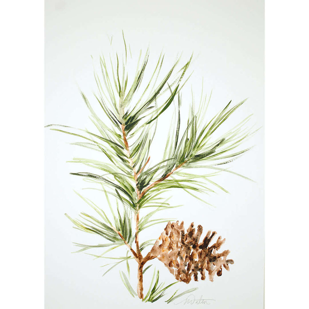 "Pine Branch" no. 1 - Watercolour Fine Art Print by Mindi Oaten