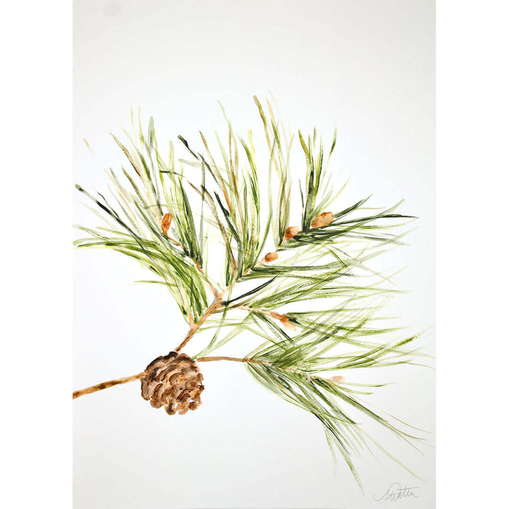 "Pine Branch" no. 3 - Watercolour Fine Art Print by Mindi Oaten