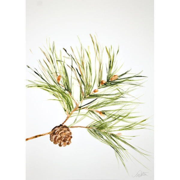 "Pine Branch" no. 3 - Watercolour Fine Art Print