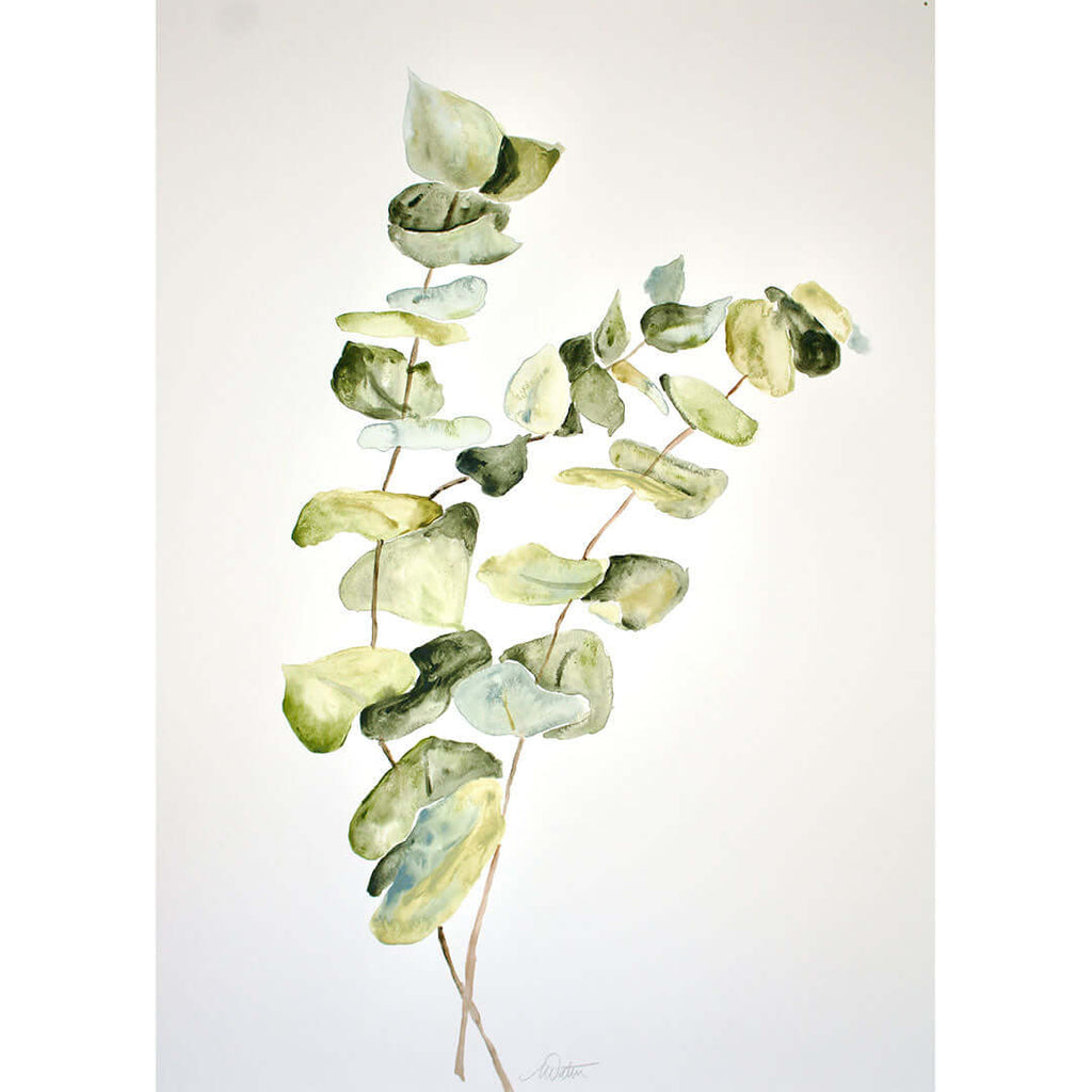 

Eucalyptus Leaves no. 2 by Mindi Oaten, showing an upright eucalyptus stem with rounded green leaves on white.