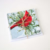 "Winter Song" Assorted Note Cards - Set of 9 by Mindi Oaten