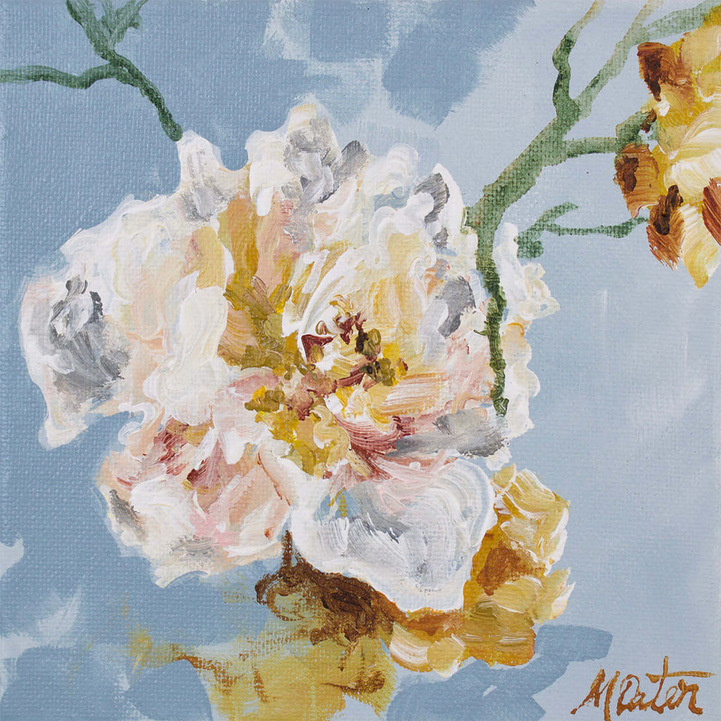 

Beautiful Surrender by Mindi Oaten, showing a pale pink and white blossom against soft blue.