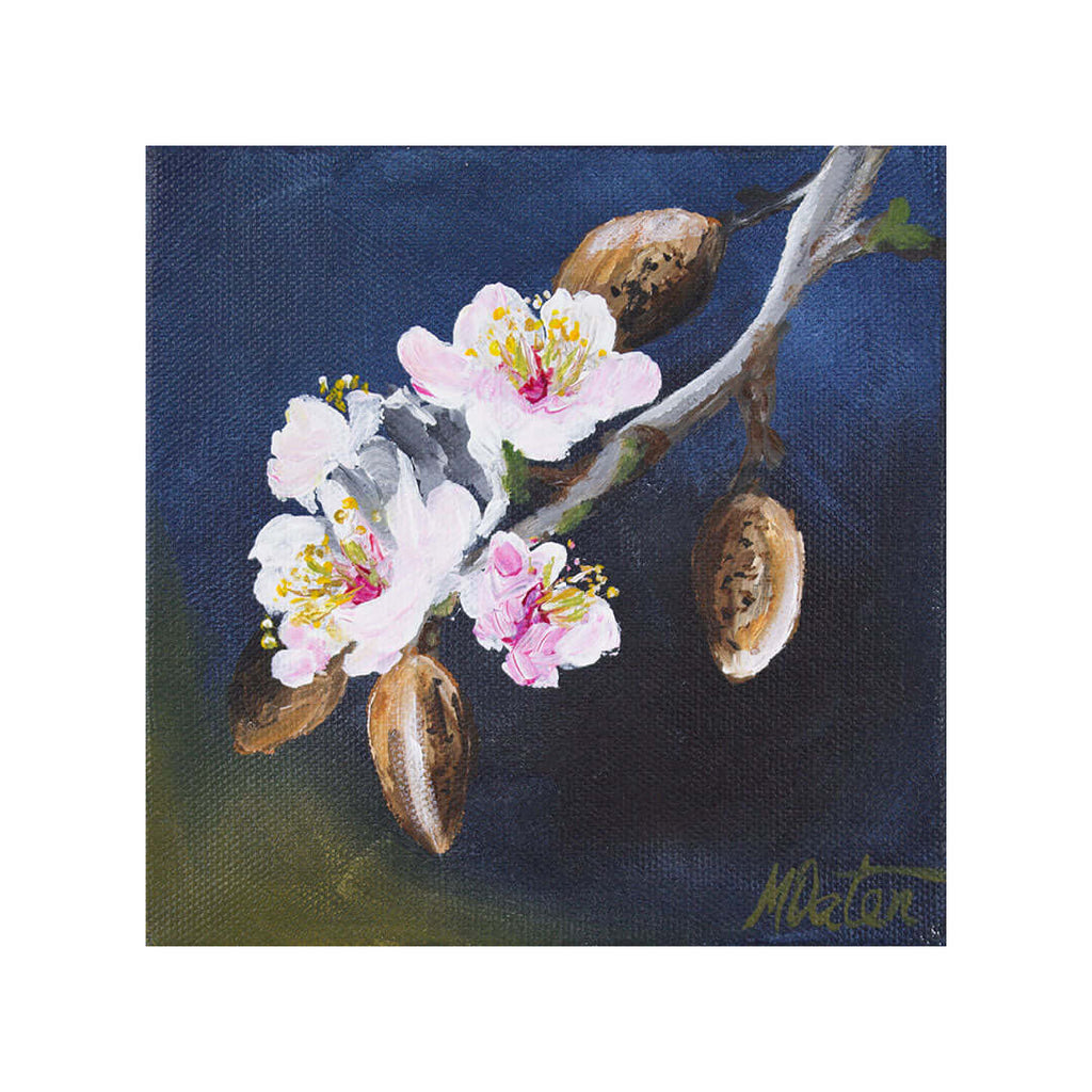 Authority & Miracle Power | Numbers - Fine Art Print by Mindi Oaten
