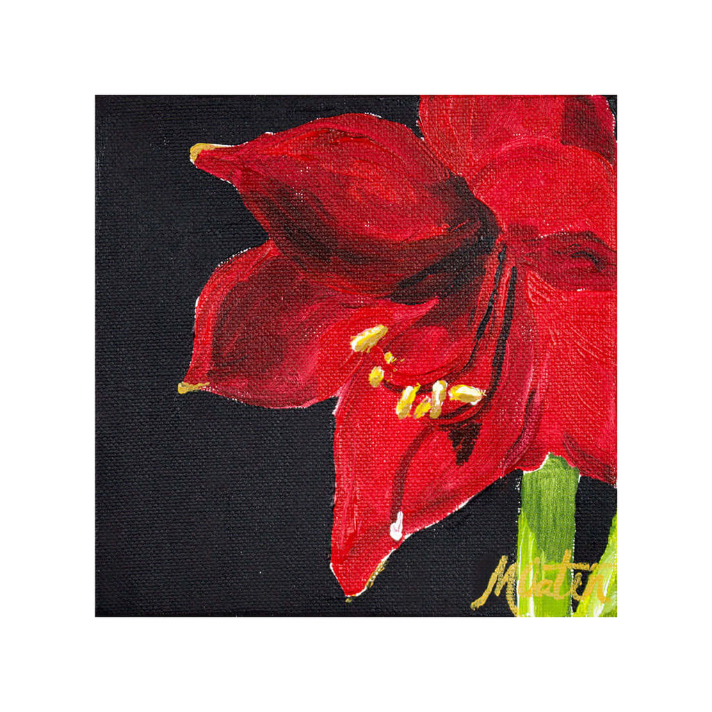 Pride fine art print featuring a vibrant red Amaryllis flower with dark background by Obadiah.