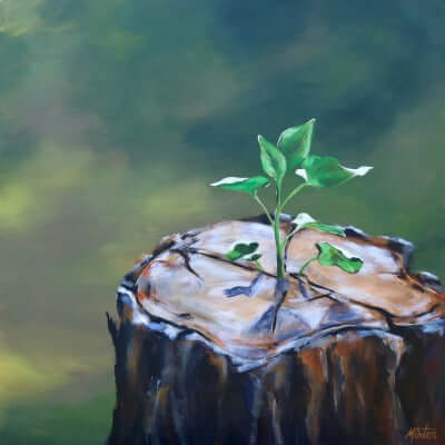 

New Life by Mindi Oaten, showing a small green seedling growing from a cut tree stump.