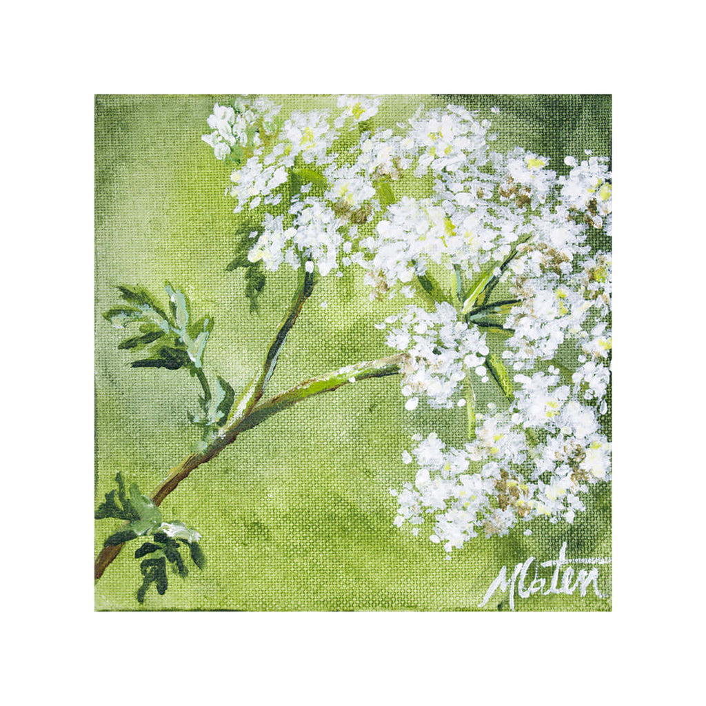 Bitterness fine art print featuring a blooming white flower branch on a green background, part of Amos' collection.