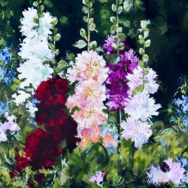 

Hollyhocks by Mindi Oaten, showing tall white, pink and purple hollyhocks against a dark garden background.