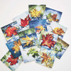 "Mini Maples" Note Cards - Assorted Set of 13 by Mindi Oaten – Christian Prophetic Acrylic Painting featuring , inspired by Scripture and spiritual themes.
