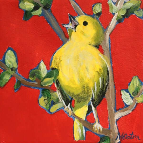 Morning Melody - Fine Art Print by Mindi Oaten