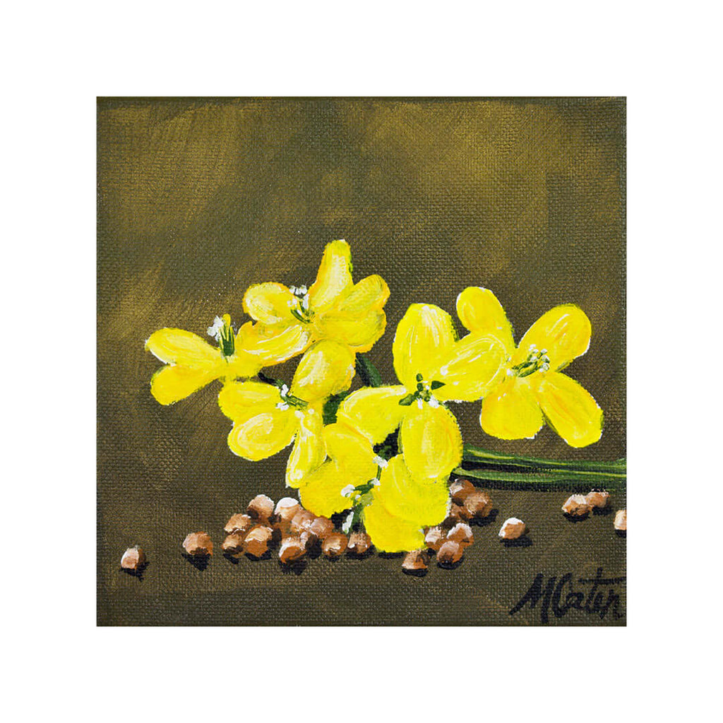 Faith | 1 Timothy - Fine Art Print by Mindi Oaten