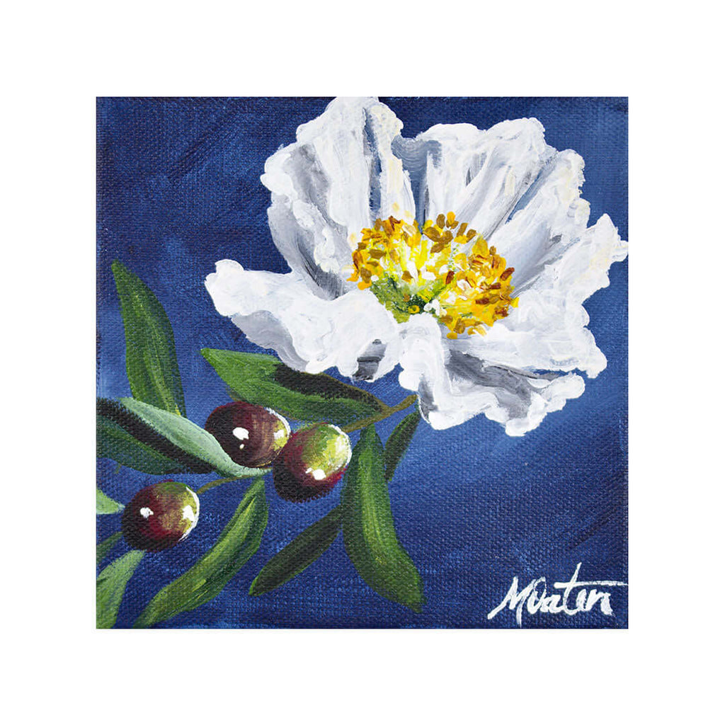 Peace | Nahum - Fine Art Print by Mindi Oaten