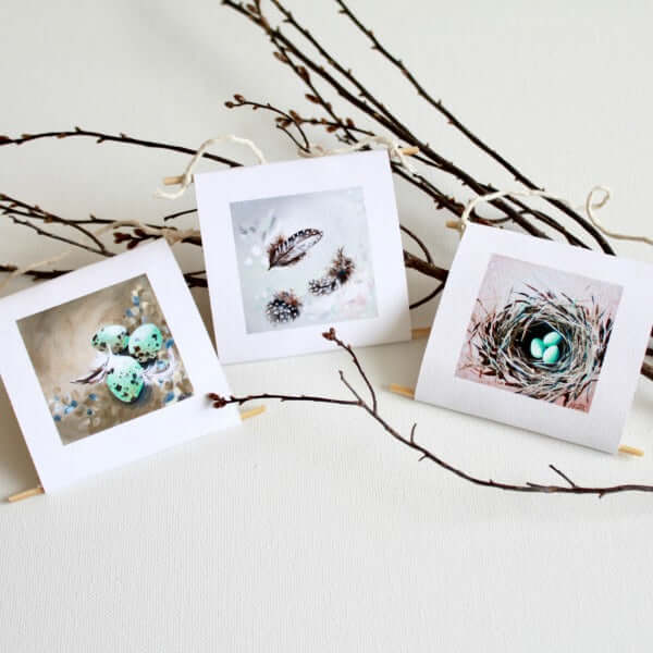 "Nest & Feathers" - mini collectible | set of 3 by Mindi Oaten