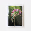 "The Hummingbird Pause, Selah" Note Cards - Set of 8 by Mindi Oaten – Christian Prophetic Acrylic Painting featuring , inspired by Scripture and spiritual themes.