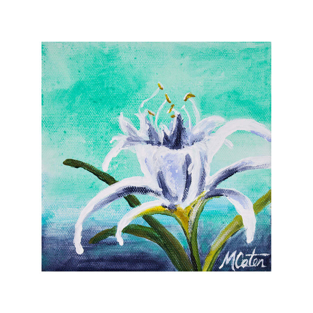 Renewal | Titus - Fine Art Print by Mindi Oaten