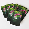 "The Hummingbird Pause, Selah" Note Cards - Set of 8 by Mindi Oaten – Christian Prophetic Acrylic Painting featuring , inspired by Scripture and spiritual themes.