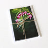 "The Hummingbird Pause, Selah" Note Cards - Set of 8 by Mindi Oaten