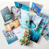 "Open Door" Assorted Note Cards - Set of 12 by Mindi Oaten – Christian Prophetic Acrylic Painting featuring , inspired by Scripture and spiritual themes.
