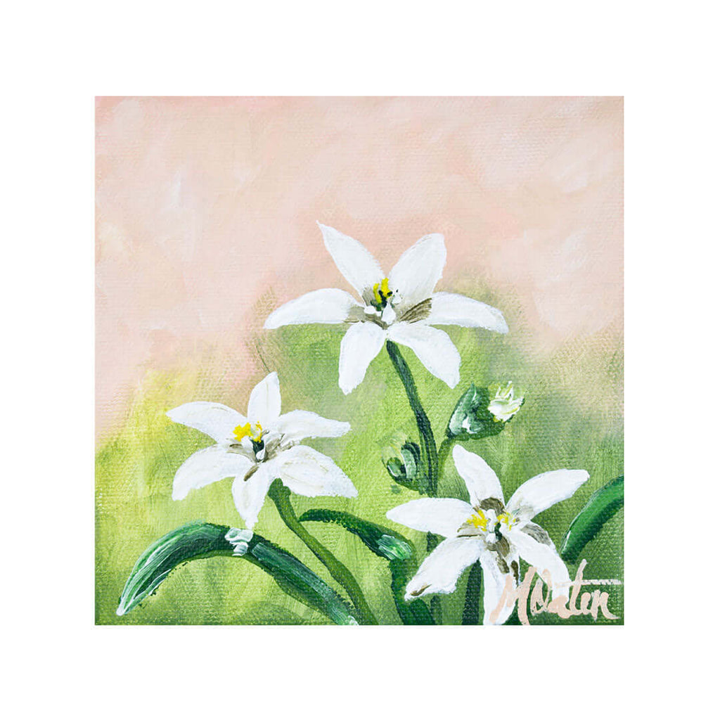 Lights the Way | Micah - Fine Art Print by Mindi Oaten