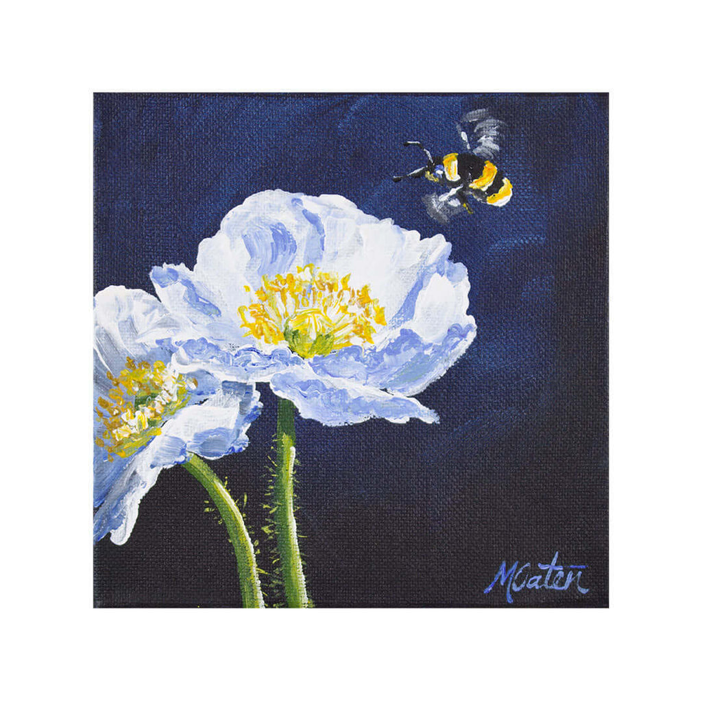Peace | Judges - Fine Art Print by Mindi Oaten