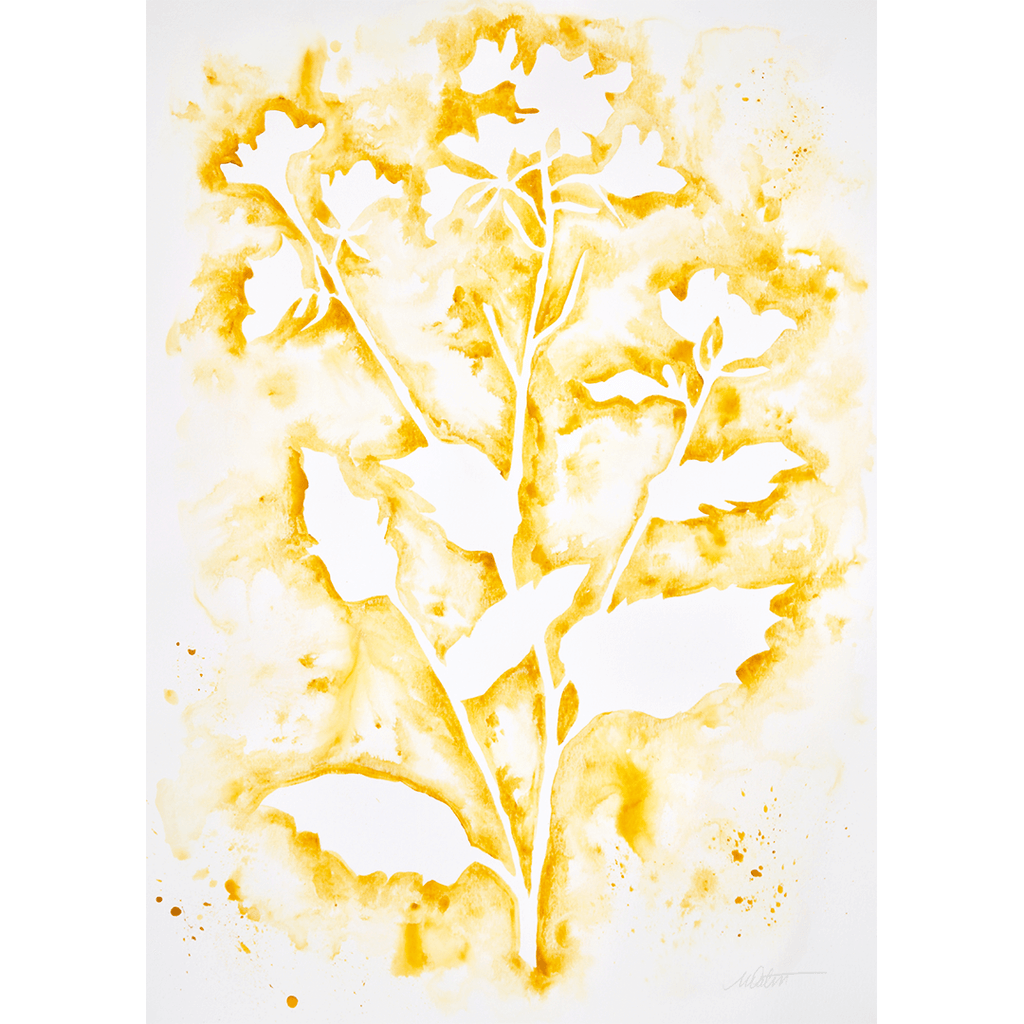 "Wildflower in Gold no. 1" 18 x 24 inches watercolour on paper by Mindi Oaten