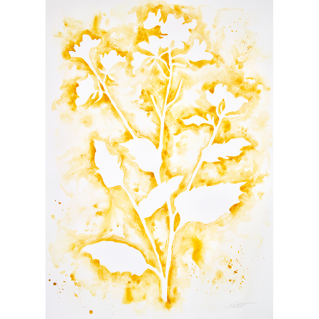 "Wildflower in Gold no. 1" 18 x 24 inches watercolour on paper