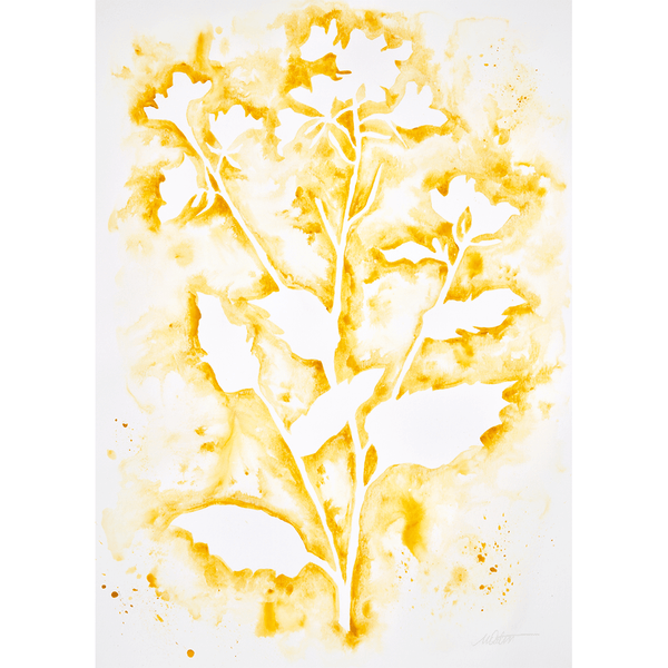 "Wildflower in Gold no. 1" 18 x 24 inches watercolour on paper by Mindi Oaten – Christian Prophetic Acrylic Painting featuring Painting, inspired by Scripture and spiritual themes.